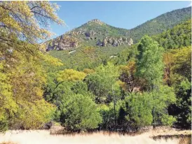  ?? ROGER NAYLOR ?? Ramsey Canyon is renowned for its scenic beauty and diversity of plant and animal life.