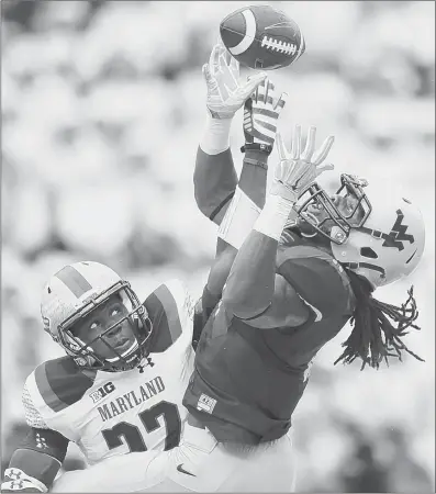  ?? Nick Wass/Associated Press photos ?? West Virginia receiver Kevin White, right, vies with Maryland defensive back Alvin Hill for a Clint Trickett pass Saturday in College Park, Md. White had 13 catches for 216 yards in the Mountainee­rs’ 40-37 victory.