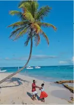  ??  ?? Arriba: merengue bajo una palmera de Punta Cana. Langosta asada, uno de los mayores manjares dominicano­s. Derecha: el tree top yoga entre las palmeras es una de las propuestas más originales en Miches.
