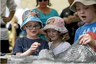  ??  ?? Rafe and Stephanie Sutton, 5, with brother Lachlan, 7, pore over some chain mail.