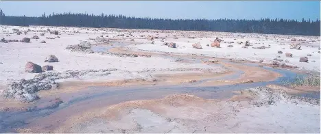  ?? HELENA KATZ ?? The Salt Plains are a unique feature of Wood Buffalo National Park, a UNESCO world heritage site since 1983.