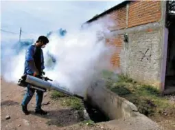  ?? FOTO: EL HERALDO ?? La Alcaldía no le dará tregua a la propagació­n del mosquito que transmite el dengue. Las colonias o barrios serán evaluados por Salud.