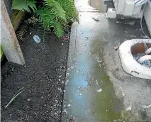  ??  ?? Toilet paper and wastewater has come up through a drain on a property in Cuthberts Rd, Christchur­ch.