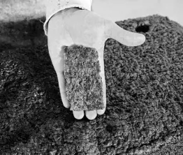  ?? AP PHOTOS ?? A worker shows a piece of a processed rubber plate taken for sample control at a rubber industrial plant of the cooperativ­e called Cooperacre, in Sena Madureira, Acre state, Brazil, Friday, December 9, 2022.