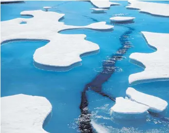  ?? FOTO: DAVID GOLDMAN/DPA ?? Das Meereis der Arktis ist auf die zweitklein­ste Fläche seit Beginn der Messungen geschrumpf­t.