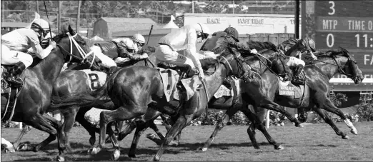  ?? SUSIE RAISHER ?? Even excluding the two days of the Breeders’ Cup, Del Mar’s average daily handle increased 7.5 percent from last fall’s meet.