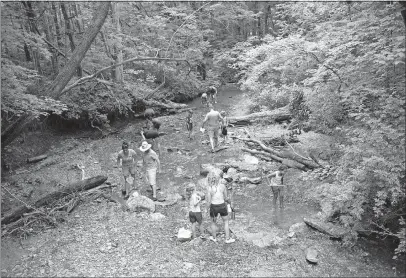  ?? [BROOKE LAVALLEY/DISPATCH PHOTOS] ?? Participan­ts in “creeking” get their feet wet as they hunt for wildlife in a tributary of the Olentangy River in Highbanks Metro Park on Saturday. Creeking events are held regularly in the park.