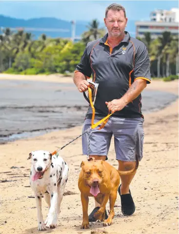  ?? Picture: ANNA ROGERS ?? DOG’S LIFE: Tuff Dog Treats owner Jase Mathews takes Sirrah and Turbo for a walk on the beach on the Cairns Esplanade.