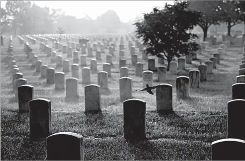  ?? AMANDA VOISARD/FOR THE WASHINGTON POST ?? A bird in flight in May 2014 as the sun rises over Arlington National Cemetery in Section 60, where many Iraq and Afghanista­n war dead are buried.