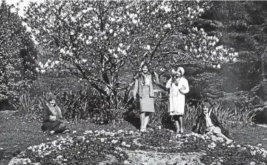  ?? WELLINGTON CITY ARCHIVES ?? Four women stand under a flowering magnolia tree in Wellington Botanic Gardens in 1929. This year marks the 150th anniversar­y of the gardens’ formal opening.