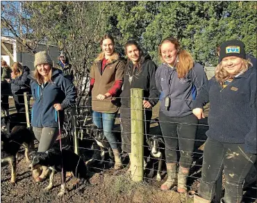  ??  ?? Telford agricultur­e and taster camp students out with the dogs.