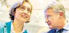  ?? DPA-BILD: DITTRICH ?? Lautsprech­erin: Beatrix von Storch im Gespräch mit dem AfD-Bundesvors­itzenden Jörg Meuthen