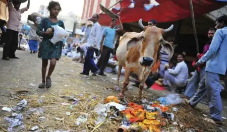  ?? RICK WESTHEAD/TORONTO STAR ?? A girl walks through a market in New Delhi, looking for spoiled food to eat. Projects by Canadian scientists aim to reduce food spoilage rates.