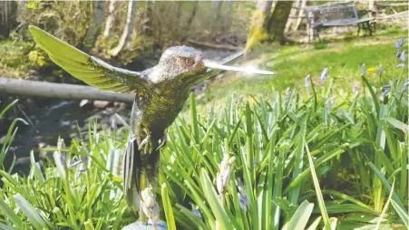  ??  ?? Vancouver Island artist Ian Lowe was inspired to give this stainless steel hummingbir­d statue to Dr. Bonnie Henry. He created the piece from his Royston studio. “I just continuall­y appreciate­d the job she was doing. She actually showed care and compassion,” he says.