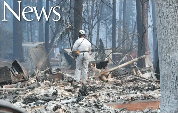  ?? WASHINGTON POST PHOTO ?? Mike Delannoy and dog Journey look for remains in Paradise, Calif. Search teams were combing through thousands of fire-destroyed structures for signs of 130 people who were still missing as of Thursday.
