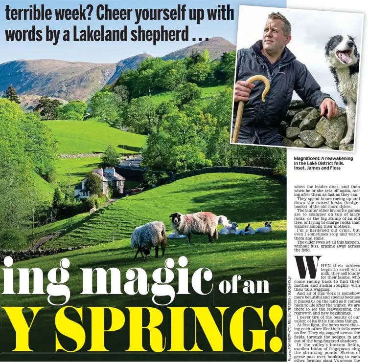  ??  ?? Magnificen­t: A reawakenin­g in the Lake District fells. Inset, James and Floss