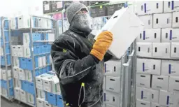  ?? MIKE DE SISTI/USA TODAY NETWORK ?? Kenny Jolliff, a freezer operator, picks orders of frozen bacteria cultures inside a super freezer at Chr Hansen in New Berlin, Wis.