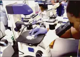  ?? Associated Press ?? A scientist at the Hampton University Cancer Research Center examines cancer cells through a microscope.