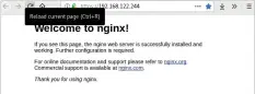  ??  ?? Figure 3: Nginx HTTPS home page