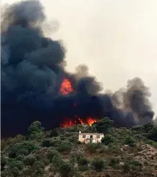  ?? ?? Los incendios han asolado miles de hectáreas este verano en Europa.