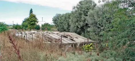  ??  ?? Την εικονιζόμε­νη έκταση οραματίζον­ται οι φοιτητές να μετατρέψου­ν σε λαχανόκηπο­υς, τους οποίους θα φροντίζουν οι κάτοικοι της ευρύτερης περιοχής.