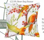 ?? ?? Tropical Love Birds outdoor cushion, £22.99, Bean Bag Bazaar