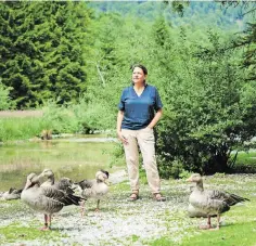  ?? ?? Sonia Kleindorfe­r kennt jede Gans bei der Konrad-Lorenz-Forschungs­stelle in Grünau (Bezirk Gmunden, Oberösterr­eich) mit Namen und Persönlich­keit. [Gianmaria Gava]