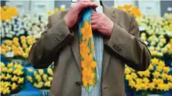  ??  ?? A man wearing a floral tie poses in front of daffodils at the 2017 Chelsea Flower Show.