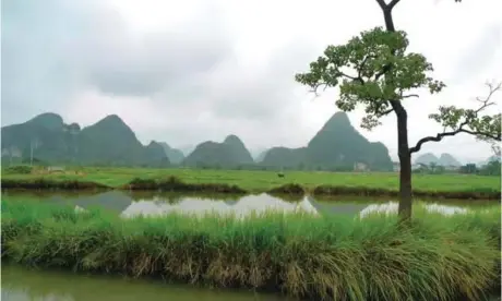  ?? AP photos ?? Irregular karst outcroppin­gs provide the backdrop for a countrysid­e scene reminiscen­t of a Chinese watercolor near Club Med's Guilin resort.—