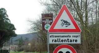  ??  ?? Il cartello L’avviso è l’unico in tutto il Parco dei Colli Euganei. Mobilitati Enpa e residenti