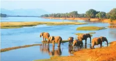  ??  ?? Mana Pools is one of Zimbabwe’s tourist destinatio­ns