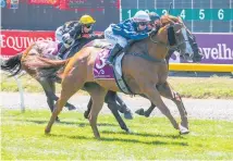  ?? Photo / Race Images ?? Disturbanc­e tackles the Great Easter Stakes (1400m) at Riccarton today.