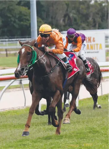  ?? Picture: STEWART McLEAN ?? STANDOUT SPRINTER: Elyce Smith pilots Tyzone to victory at Cannon Park. The Roy Chillemi-trained galloper will try his luck at Doomben this afternoon.