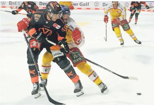  ?? FOTO: PETER STEFFEN/DPA ?? So war es im Hinspiel: Düsseldorf­s Lars Stelzmann (rechts) kämpft mit Wolfsburgs Matti Järvinen (l) um den Puck.