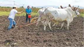  ??  ?? El subejercic­io de recursos públicos impacta en programas sociales para el campo, la salud y la educación, que deberían beneficiar a la gente, indica la propuesta de la bancada de Morena.