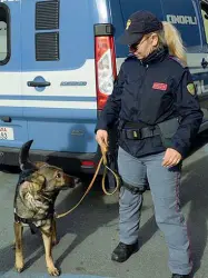  ?? (foto archivio) ?? Controlli Ieri venti commissari­ato mattina agenti con del schierati stazione dei alla treni a Bassano e alla stazione dei pullman di Marostica, oltre che nei bar e nei parchi comunali assieme al cane antidroga Trixie