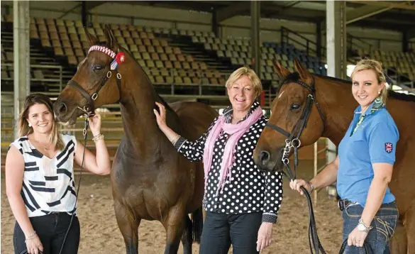  ?? PHOTO: NEV MADSEN ?? NEW CAREERS: Show-horse competitor Maddy Sears (left) with Miss Indiana, Toowoomba Royal Show ringmaster Catherine James, and equestrian enthusiast Melanie Wellsteed with Safari at the Toowoomba Showground­s this week.