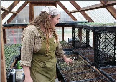  ?? (Arkansas Democrat-Gazette/Critasina LaRue) ?? Dylan Romine, farm manager at Bell Urban Farm and Farmstand, explains the different heirloom seed varieties she is helping to grow in a greenhouse on the farm in Conway on Monday.