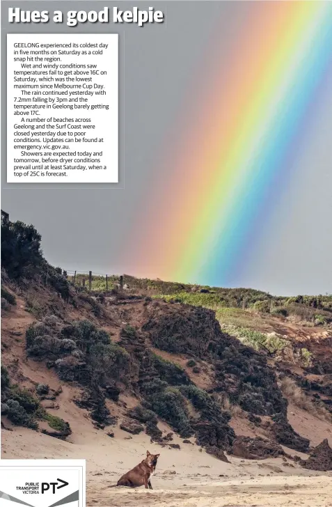  ?? Picture: SHAUN VILJOEN ?? SPLASH OF COLOUR: Jessie the kelpie takes a break at Jan Juc beach at the weekend as a dramatic rainbow appears overhead during a break in wet and windy weather.