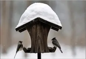  ?? The Associated Press ?? Birds gather under a feeder for food and shelter near Hillsborou­gh, N.C., on Saturday. A winter storm has spread ice and snow from Mississipp­i to Maine.