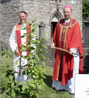  ??  ?? Bishop Denis Brennan planting a tree outside St Anne’s Church, Rathnure, to mark his golden jubilee with the help of Fr Brian Broaders PP. RIGHT: The letter sent to Bishop Brennan by Pope Francis.