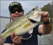  ?? (Arkansas Democrat-Gazette) ?? The author used a chartreuse/white chatterbai­t to catch this 4-pound largemouth, the largest bass of the day.