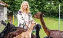  ?? — AFP photos ?? Alpaca owner Silke Lederbogen, leader of a program for delinquent­s who are psychologi­cally ill, takes care of some of her animals during an animal therapy session for mentally ill criminals in Mainkofen, southern Germany.