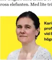  ??  ?? Karin Milles är professor i svenska vid Södertörns högskola.