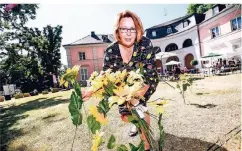  ?? FOTO: ANDREAS BRETZ ?? Christine Küppelholz vom Seniorenta­nztheater steckt mit Sonnenblum­en die Bühne für die Aufführung ab.