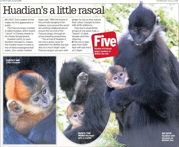  ??  ?? CHEEKY IMP Little Huadian MUM’S THE WORD Nicoleen gets a cuddle SO CUTE Huadian with Nicoleen at Belfast Zoo