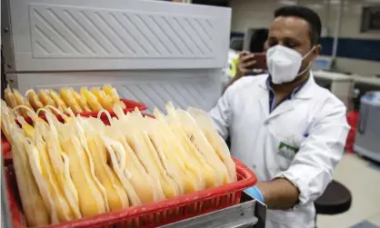  ?? Photograph: Mohamed Hossam/EPA ?? A doctor pulls plasma bags donated by patients who recovered from Covid-19.