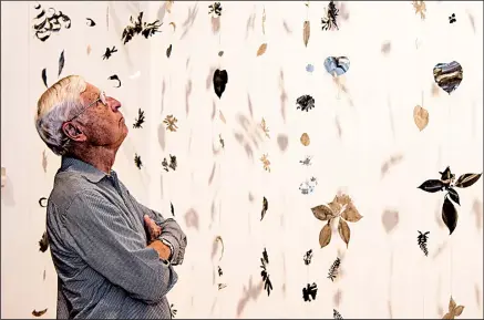  ?? Fall Arkansas Democrat-Gazette/CARY JENKINS ?? Bob McKuin takes in the installati­on work at the Arkansas Arts Center. The large scale botanical art installati­on of stainless-steel cutouts by Carlyle Wolfe of Oxford, Miss., won a Delta Award at “The 59th Annual Delta Exhibition.” The exhibit...