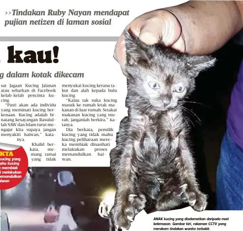  ??  ?? ANAK kucing yang diselamatk­an daripada mati kelemasan. Gambar kiri, rakaman CCTV yang merakam tindakan wanita terbabit.