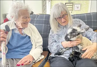  ?? Pictures: Harrier Lodge ?? Pat and Margaret enjoying seeing the baby sheep